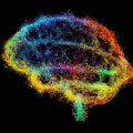 AI Revolucionária: A Nova Era do Cérebro Digital que Desafia a Neurociência!
